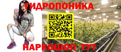 2c-b Рузаевка