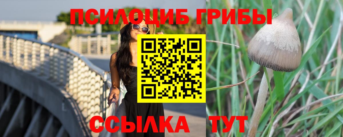 Галлюциногенные грибы Magic Shrooms  Вход с VPN  Советский  Псилоцибиновые грибы Psilocybe 